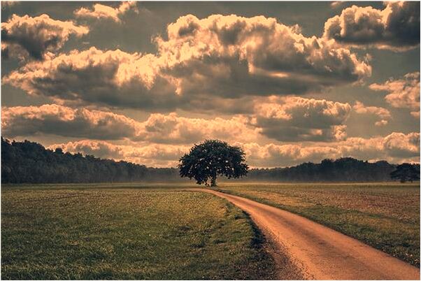 夢到了丈夫給兒子買房子是吉兆嗎?_周公解夢官網