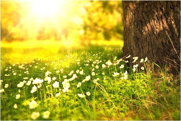 夢到了一塊地好建房意味著什麼_周公解夢官網