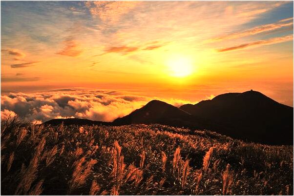 夢到了自己在廟裡拜菩薩啥意思_周公解夢官網