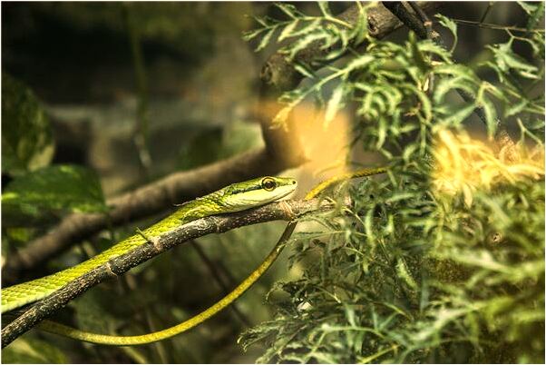 夢見和老婆一起給孩子看病是啥意思_周公解夢官網