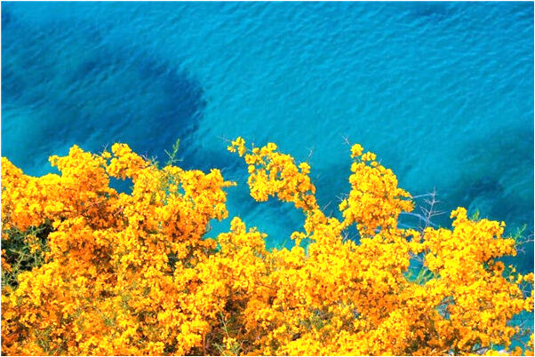 夢見全英大媽家怎么說_周公解夢官網