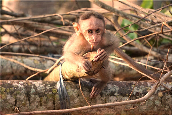 夢到我和他前妻發生爭執有何寓意_周公解夢官網