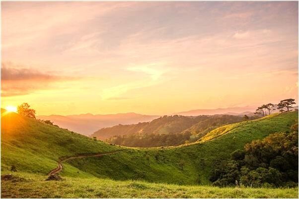 夢見好友向自己示好有什麼意思_周公解夢官網