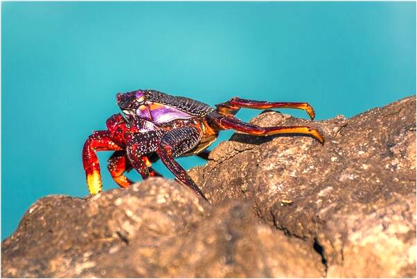 夢到眼鏡掉了有什麼含義_周公解夢官網