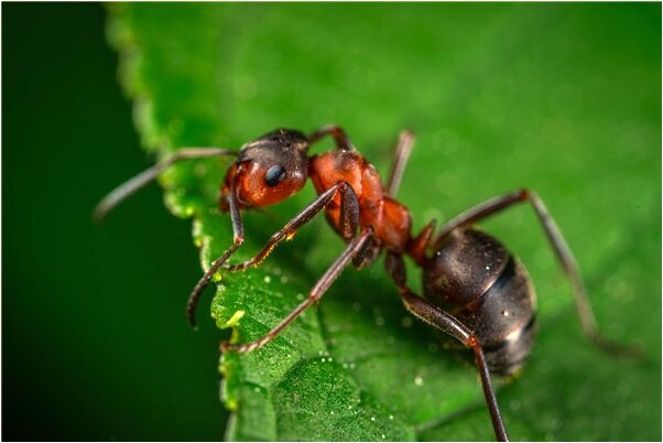 夢見有洞的雞蛋的預兆_周公解夢官網