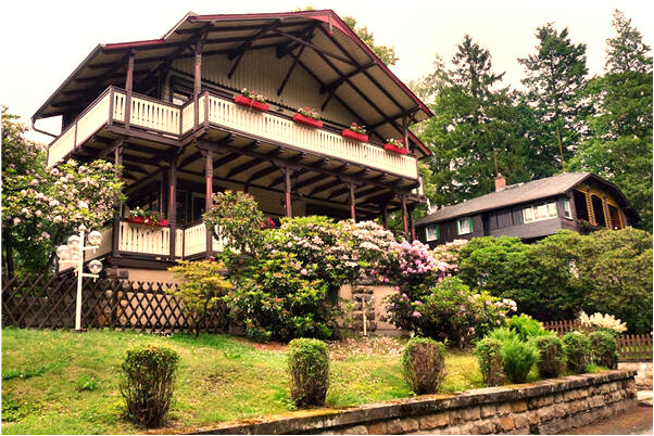 夢到樹上是白的有什麼預示嗎_周公解夢官網