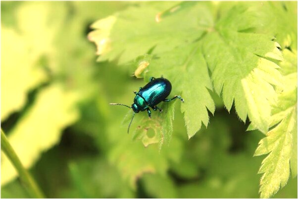 夢到了蒸湯包有什麼說法_周公解夢官網