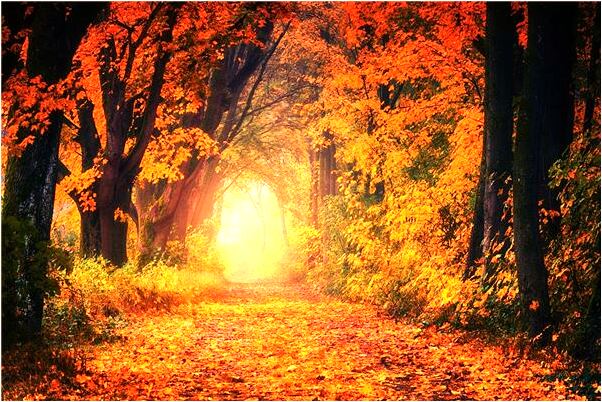 夢到在夢裡很恨爸爸是什麼兆頭_周公解夢官網