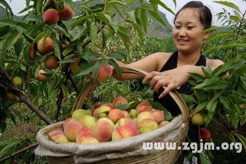 Dream of picking peaches