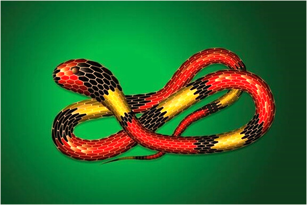 夢到神轎有人是凶兆還是吉兆_周公解夢官網