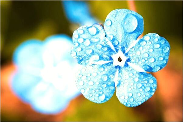 夢到李偉革啥意思_周公解夢官網