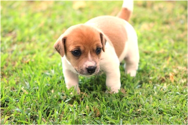 夢見小孩掉水裡我把她救上來會怎么樣_周公解夢官網