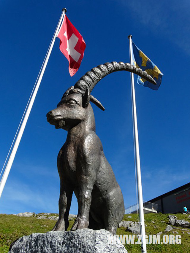 夢見穿紅鞋_周公解夢夢到穿紅鞋是什麼意思_做夢夢見穿紅鞋好不好_周公解夢官網