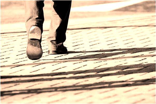 夢到成群的豬雞被我趕進圈舍有什麼意思_周公解夢官網