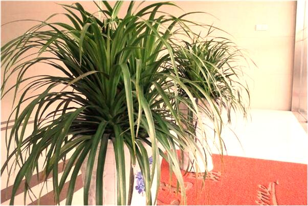 夢見黑雲壓境有什麼意思嗎_周公解夢官網