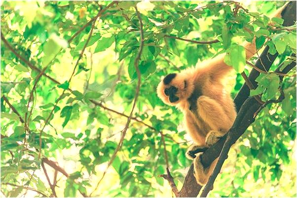 夢見婚禮前什麼都沒準備什麼寓意_周公解夢官網