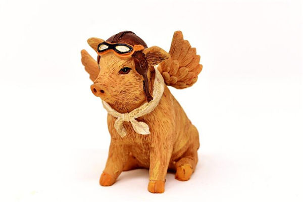 屬豬的人性格如何_十二生肖