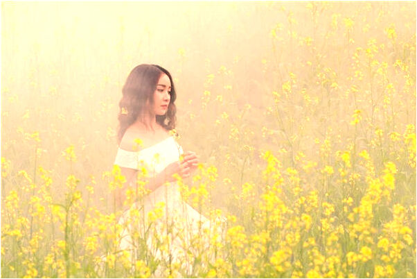 夢到了樹開花怎么樣_周公解夢官網