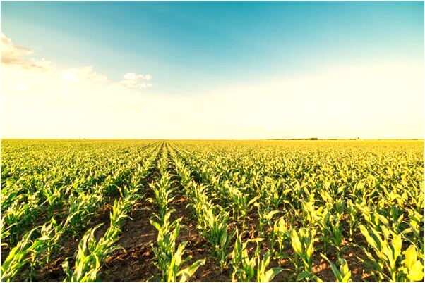 夢見別人從高樓從墜亡有什麼徵兆_周公解夢官網