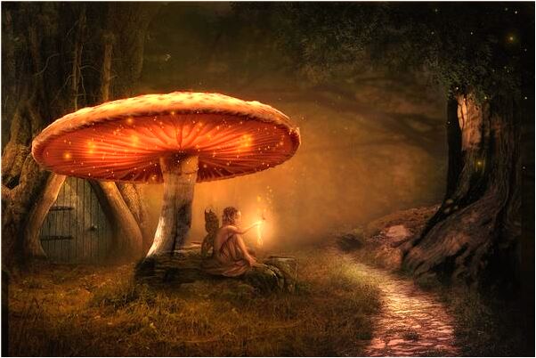 夢到尾巴斷了是啥意思_周公解夢官網