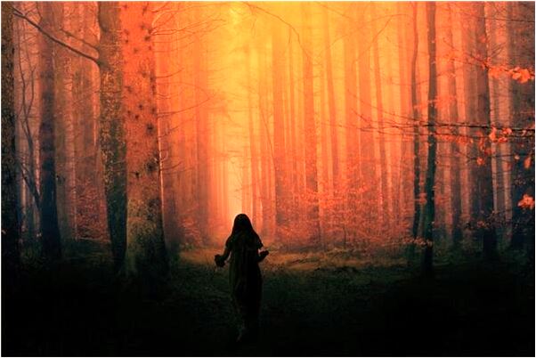 夢見親戚搶飯是什麼意思_周公解夢官網