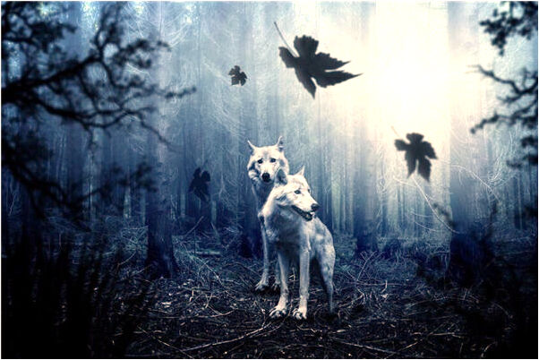 夢到了朋友嘔吐的東西我用手接是吉兆嗎?_周公解夢官網