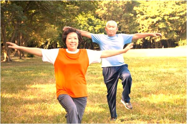 夢到了豬群有母豬預示什麼_周公解夢官網