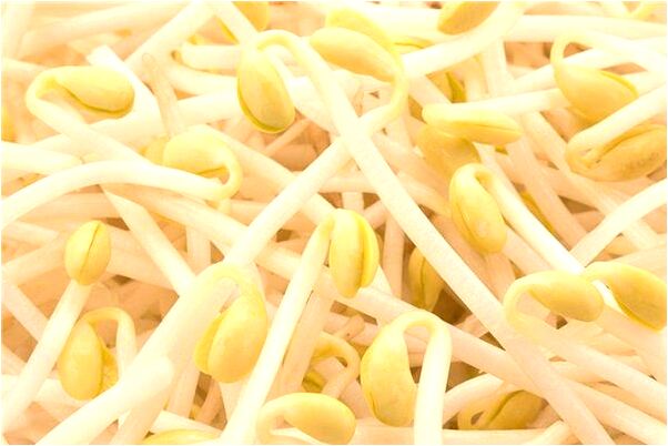 夢到了小豬崽在身上有什麼說法_周公解夢官網