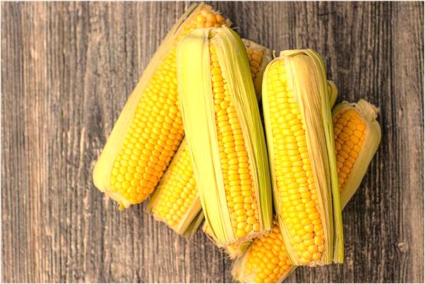 夢見蛇咬住了自己的腳代表什麼_周公解夢官網