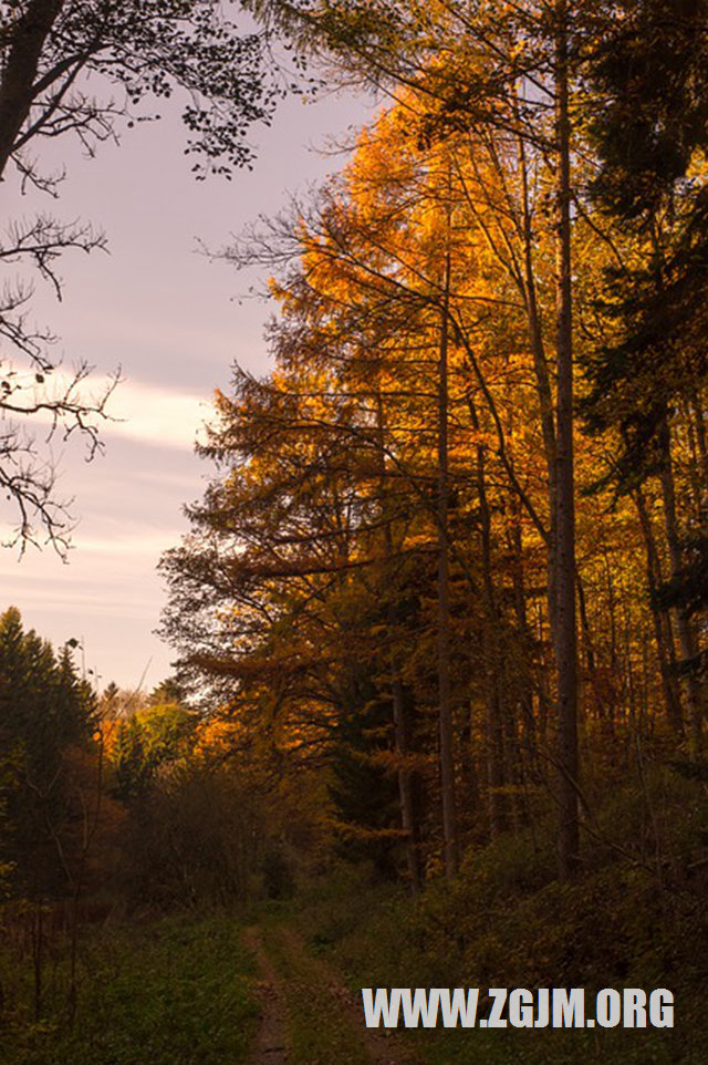 夢見被判死刑但沒有死_周公解夢夢到被判死刑但沒有死是什麼意思_做夢夢見被判死刑但沒有死好不好_周公解夢官網