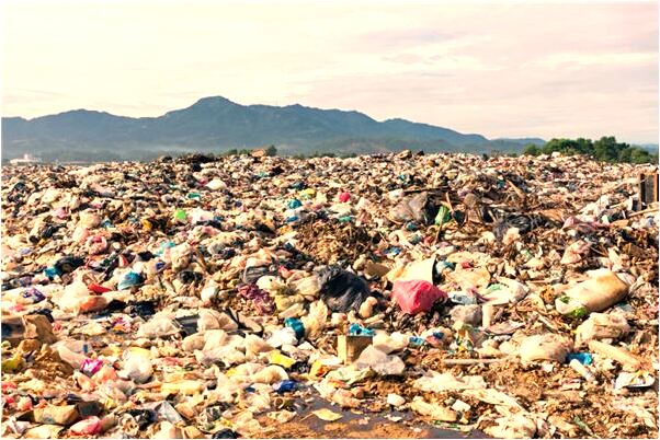 夢見小孩掉在鱷魚池裡怎么樣_周公解夢官網