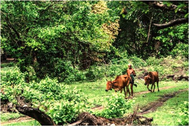 夢到夢瞎子說書有什麼預兆_周公解夢官網