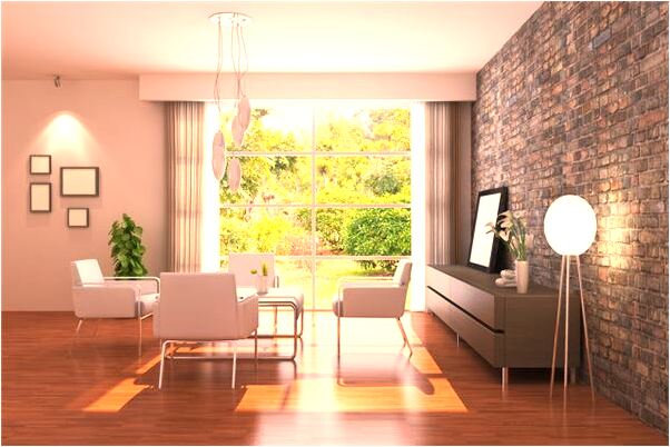 夢到了領養小狗是啥意思_周公解夢官網