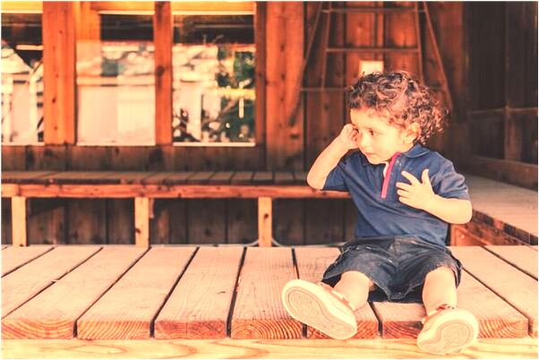 夢到我家的倆只狗好不好_周公解夢官網