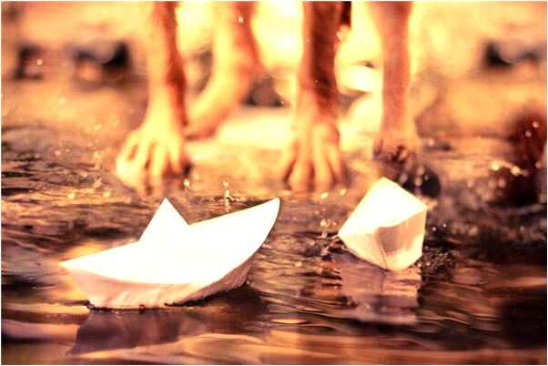 夢見大樹被連根拔起會怎么樣_周公解夢官網