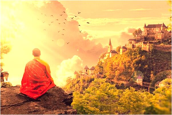 夢見家禽進屋有什麼寓意嗎_周公解夢官網