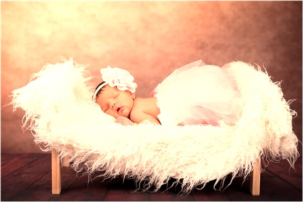 夢到養的龜死了代表什麼_周公解夢官網