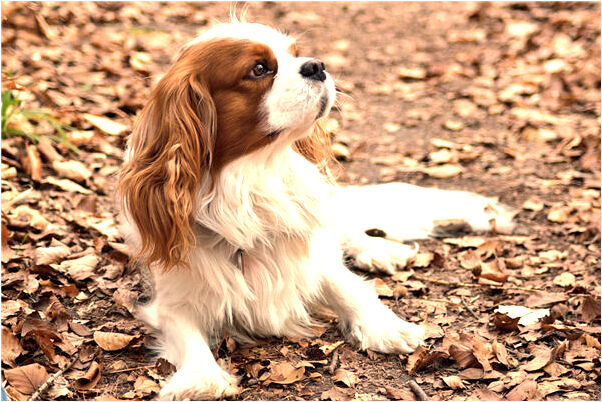 夢到了包紅包給別人會有什麼預兆_周公解夢官網