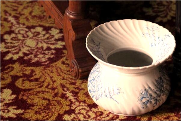 夢到了狼虎入室預示什麼_周公解夢官網