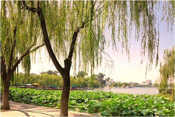 夢到了停車在小河裡有很多水是什麼意思_周公解夢官網