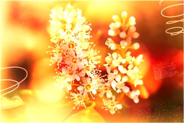 夢見先人打麻將會是什麼預兆_周公解夢官網