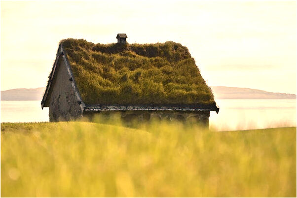 夢見青蛙卵預示什麼_周公解夢官網