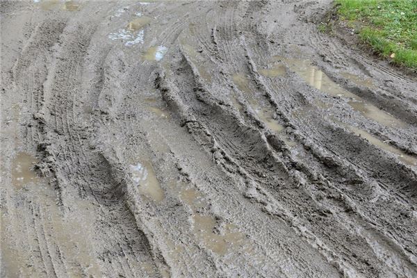 夢到了泥寧路會是什麼預兆_周公解夢