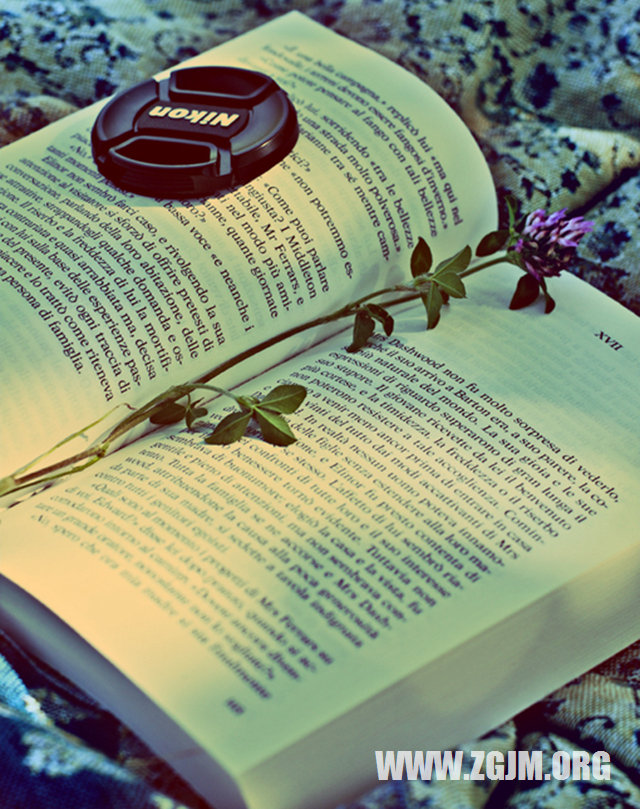 夢見母親去世我哭了_周公解夢夢到母親去世我哭了是什麼意思_做夢夢見母親去世我哭了好不好_周公解夢官網