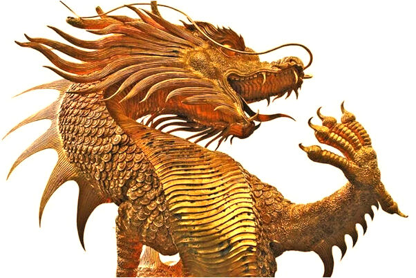 夢到樹杏不多我偷吃是什麼啟示_周公解夢官網