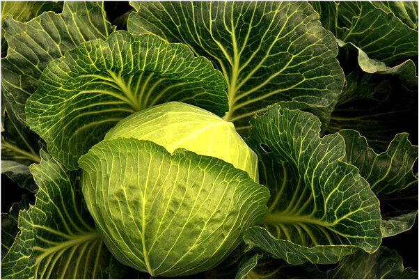 夢見親人身上被人扎出血會是什麼預兆_周公解夢官網