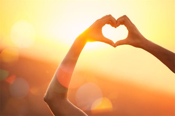 08年的生肖和婚配_十二生肖