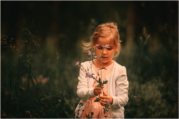 夢到了出殯有人送大米給我代表著什麼？_周公解夢官網