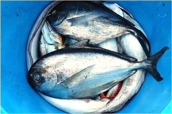 夢到了計生中心到草鋪怎么走預示什麼_周公解夢官網