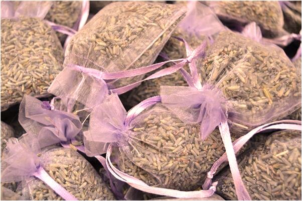 夢見幾隻小貓爬在身上是什麼預兆_周公解夢官網